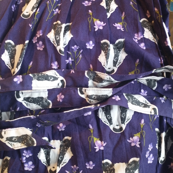 QUIRKY AND BEAUTIFUL RUN & FLY "BADGER PRINT" TEA PARTY DRESS - Picture 11 of 12